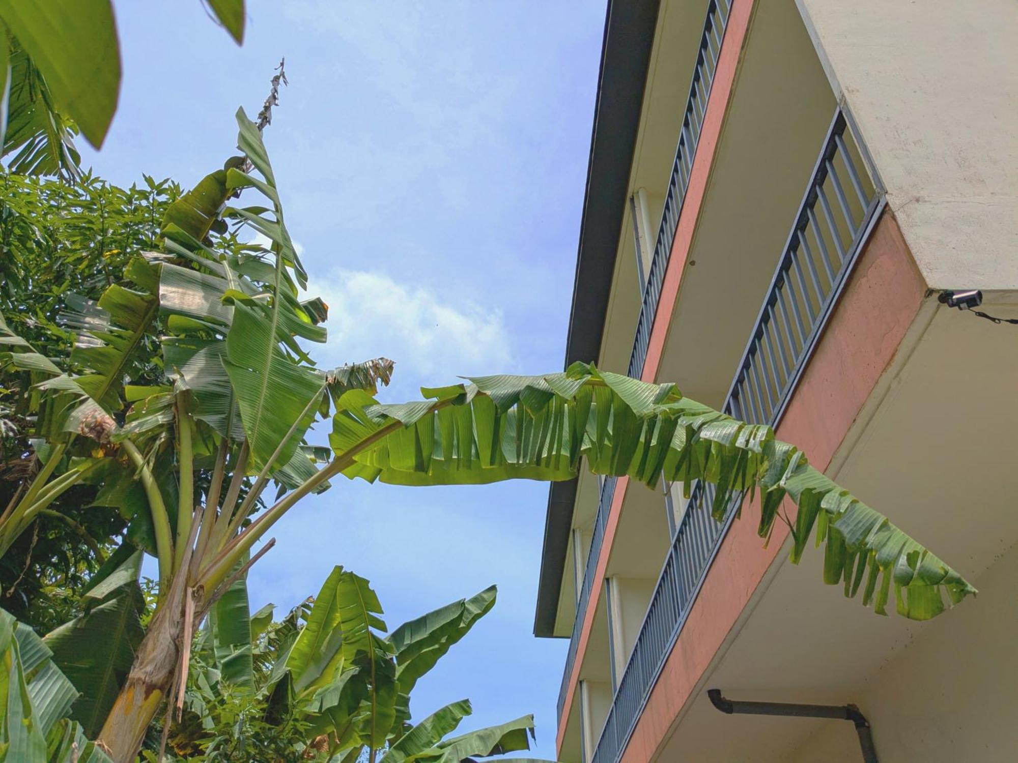 Garden Palace Downtown Koror Ngoại thất bức ảnh