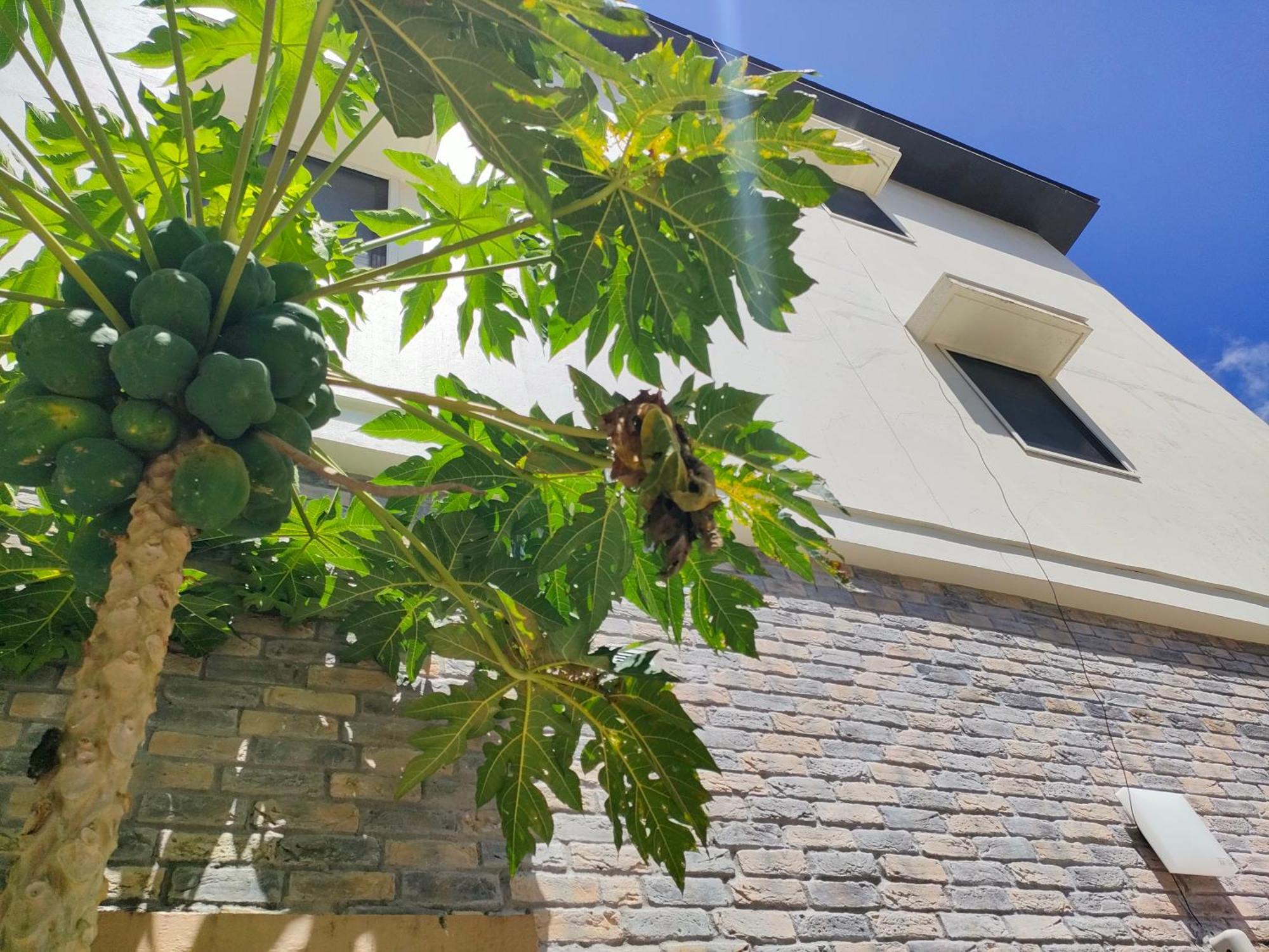Garden Palace Downtown Koror Ngoại thất bức ảnh