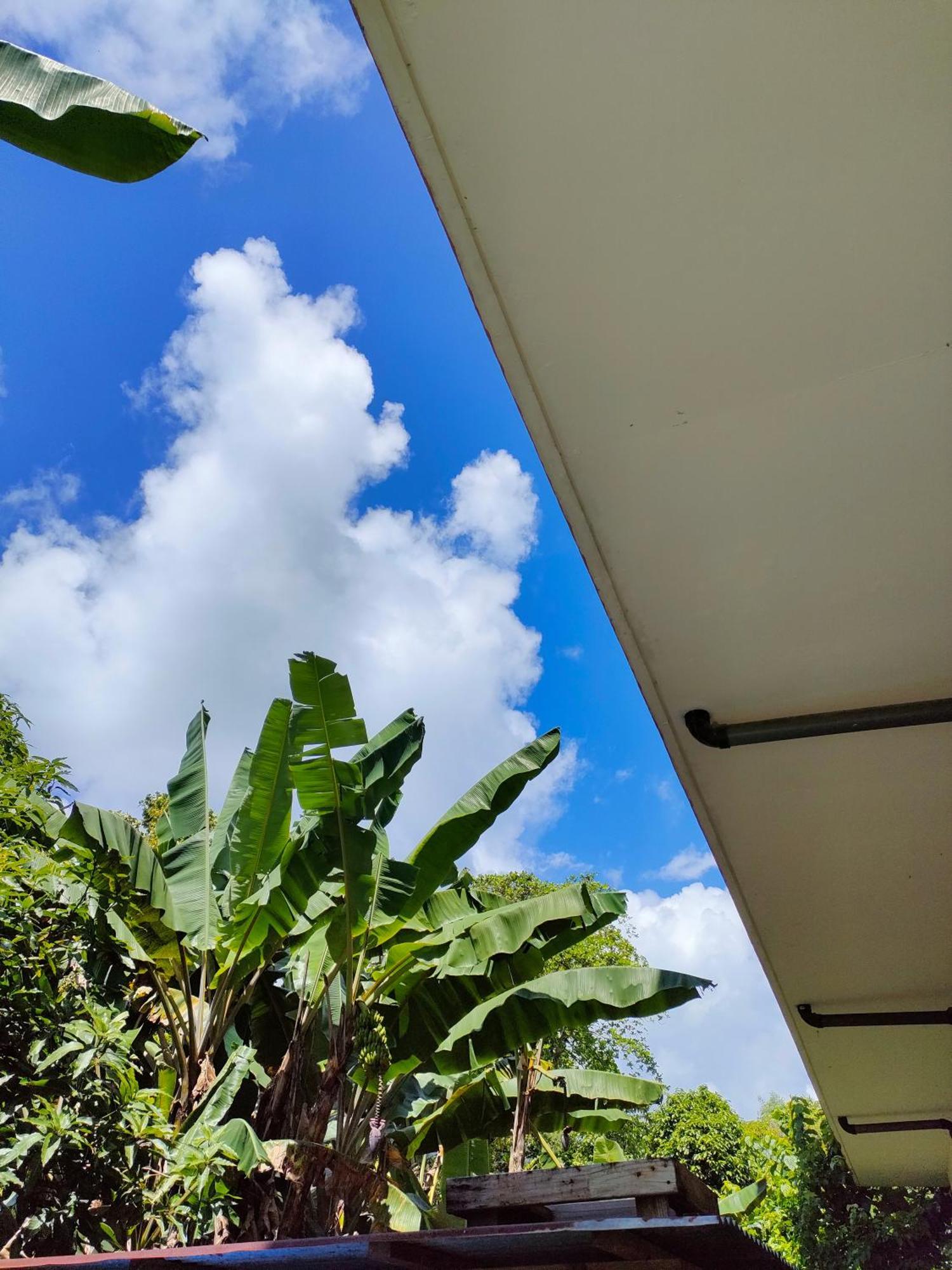 Garden Palace Downtown Koror Ngoại thất bức ảnh